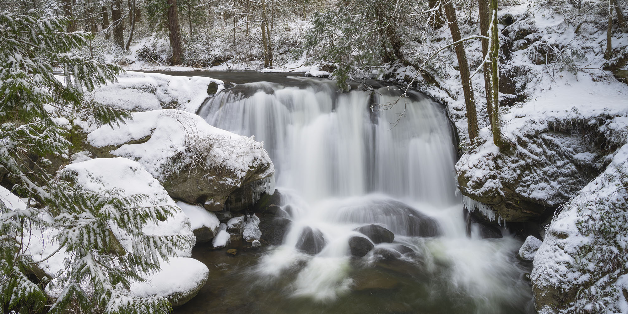 Whatcom Falls in Bellingham, WA in the winter with snow covering the ground.